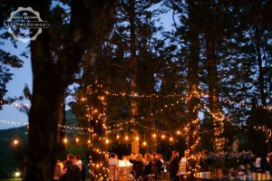 evening wedding lights edison