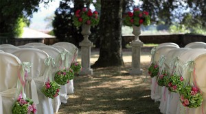 green and pink blessing flowers