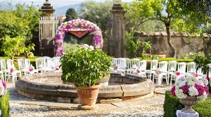 chuppah orchids