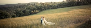 tuscan cornfield wedding