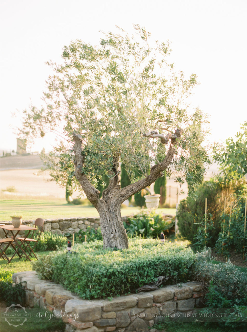 Stylish wedding Pienza Val D'Orcia