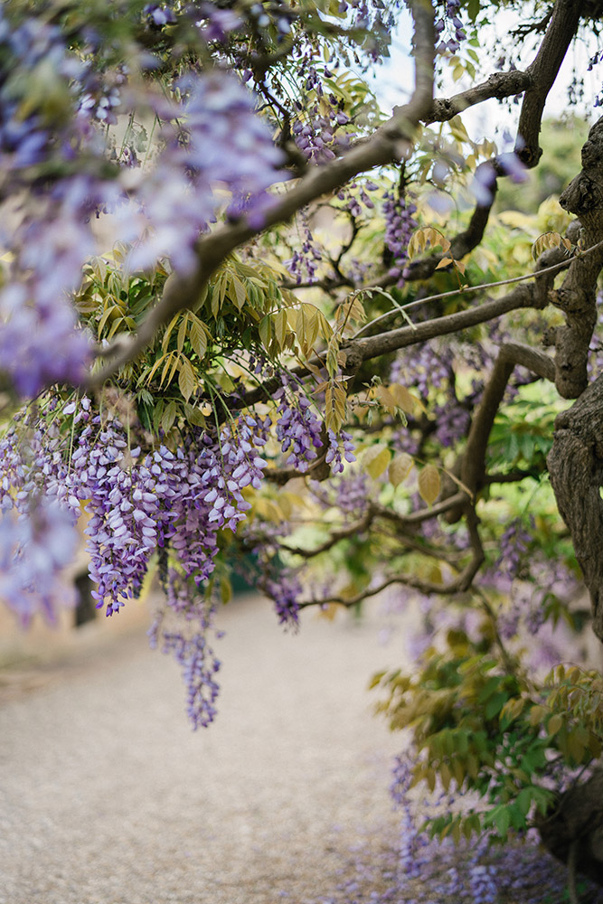 Villa Cetinale wedding blessing in Spring