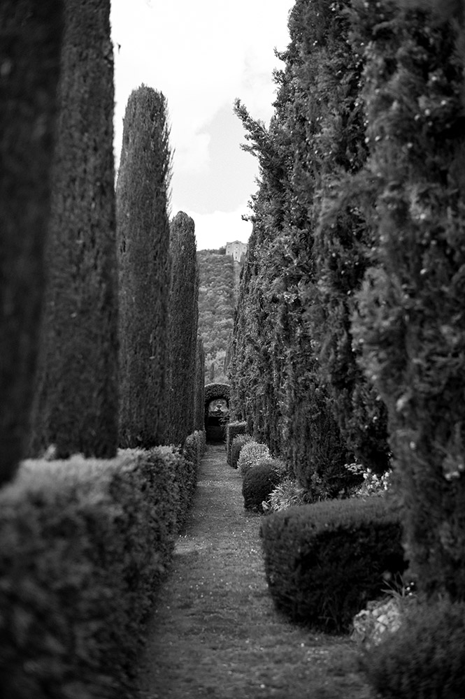 Villa Cetinale wedding blessing in Spring